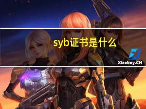 syb证书是什么