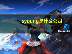 syoung是什么公司
