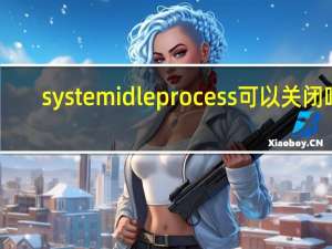 system idle process可以关闭吗（system idle process是什么进程）