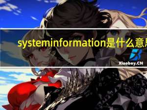 systeminformation是什么意思