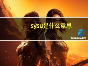 sysu是什么意思