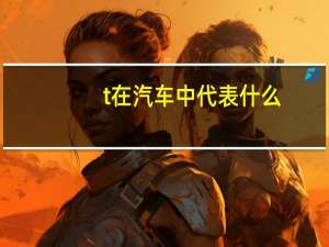 t在汽车中代表什么