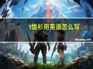 t恤衫用英语怎么写