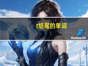 t结尾的单词