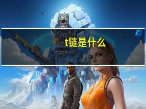 t链是什么