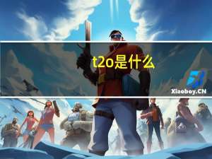 t2o是什么