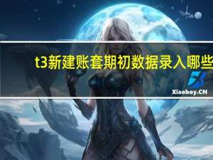 t3新建账套期初数据录入哪些（新建账套期初数据录入哪些）