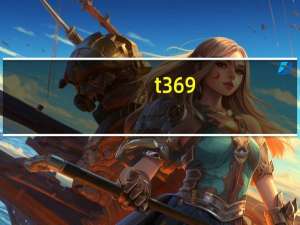 t369（t3反结账）