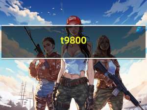 t 9800（关于t 9800的介绍）