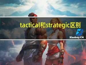 tactical和strategic区别