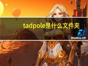 tadpole是什么文件夹（tadpole）