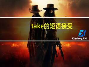 take的短语接受