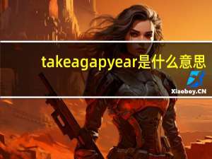 take a gap year是什么意思