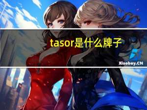 tasor是什么牌子