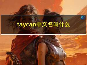 taycan中文名叫什么（taycan中文名）