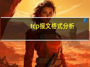 tcp报文格式分析（tcp报文格式）