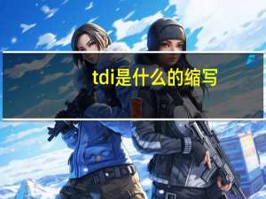 tdi是什么的缩写