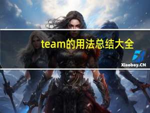 team的用法总结大全