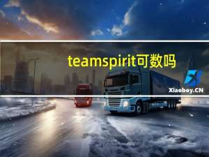 team spirit可数吗