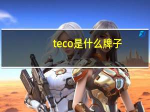 teco是什么牌子