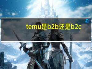 temu是b2b还是b2c