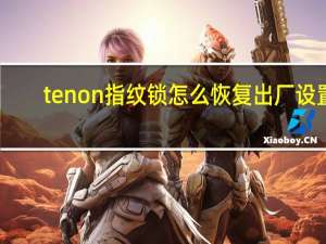 tenon指纹锁怎么恢复出厂设置