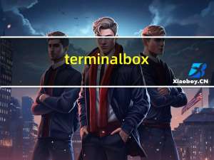 terminal box（terminal.exe）