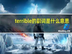 terrible的副词是什么意思