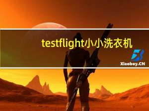 testflight小小洗衣机（小小洗衣机是什么软件）