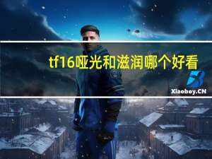 tf16哑光和滋润哪个好看