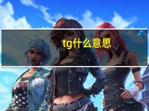 tg什么意思