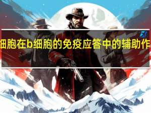 th细胞在b细胞的免疫应答中的辅助作用表现为（th细胞）