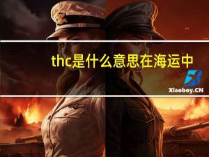thc是什么意思在海运中（海运上的THC费用是什么费用）