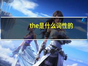 the是什么词性的