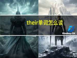 their单词怎么读