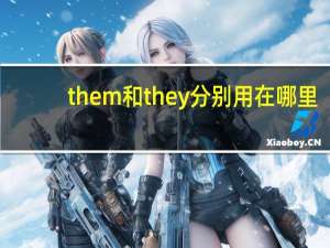 them和they分别用在哪里