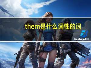 them是什么词性的词