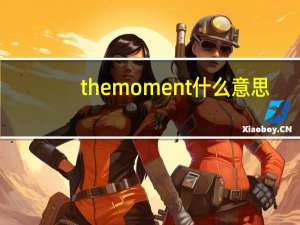 themoment什么意思