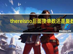 there is no后面接单数还是复数