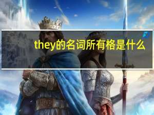 they的名词所有格是什么