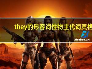 they的形容词性物主代词 宾格