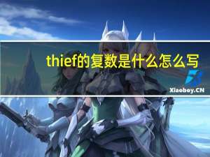 thief的复数是什么怎么写（thief的复数）