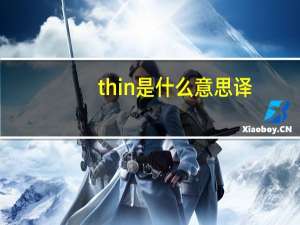 thin是什么意思译