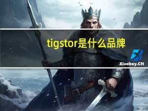 tigstor是什么品牌
