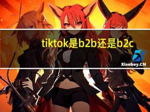 tiktok是b2b还是b2c