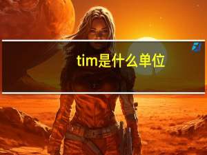 tim是什么单位（tim是什么）