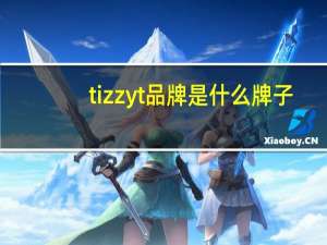 tizzyt品牌是什么牌子