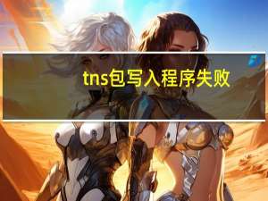tns包写入程序失败