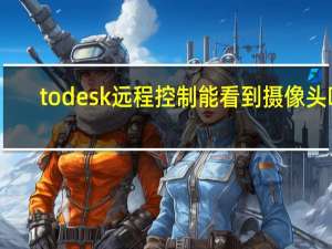 todesk远程控制能看到摄像头吗