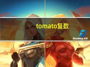 tomato复数